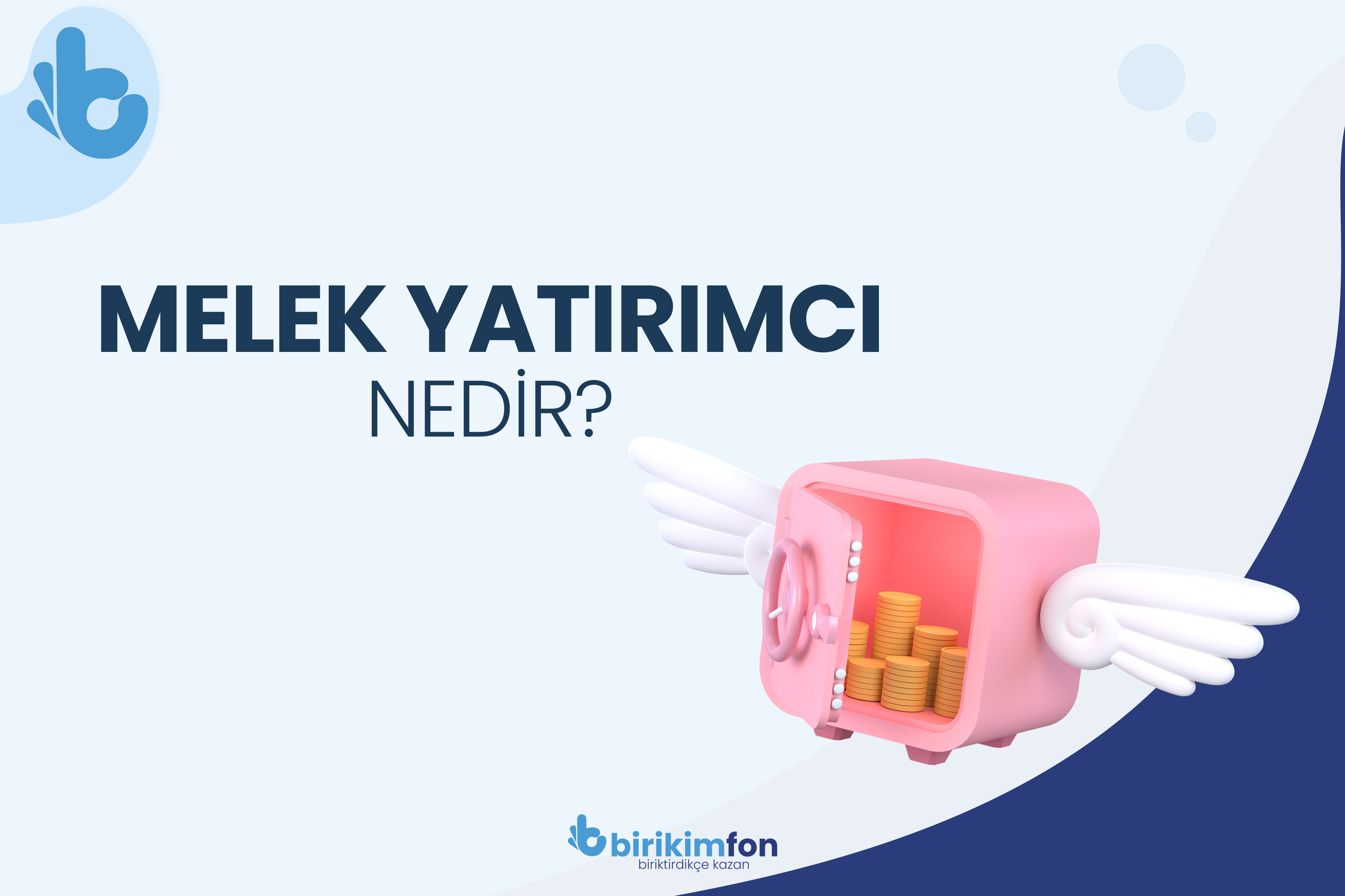 Melek Yatırımcı Nedir?